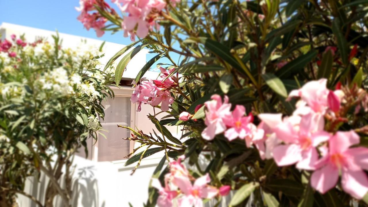 Appartement Little Loft Playablanca à Playa Blanca  Extérieur photo